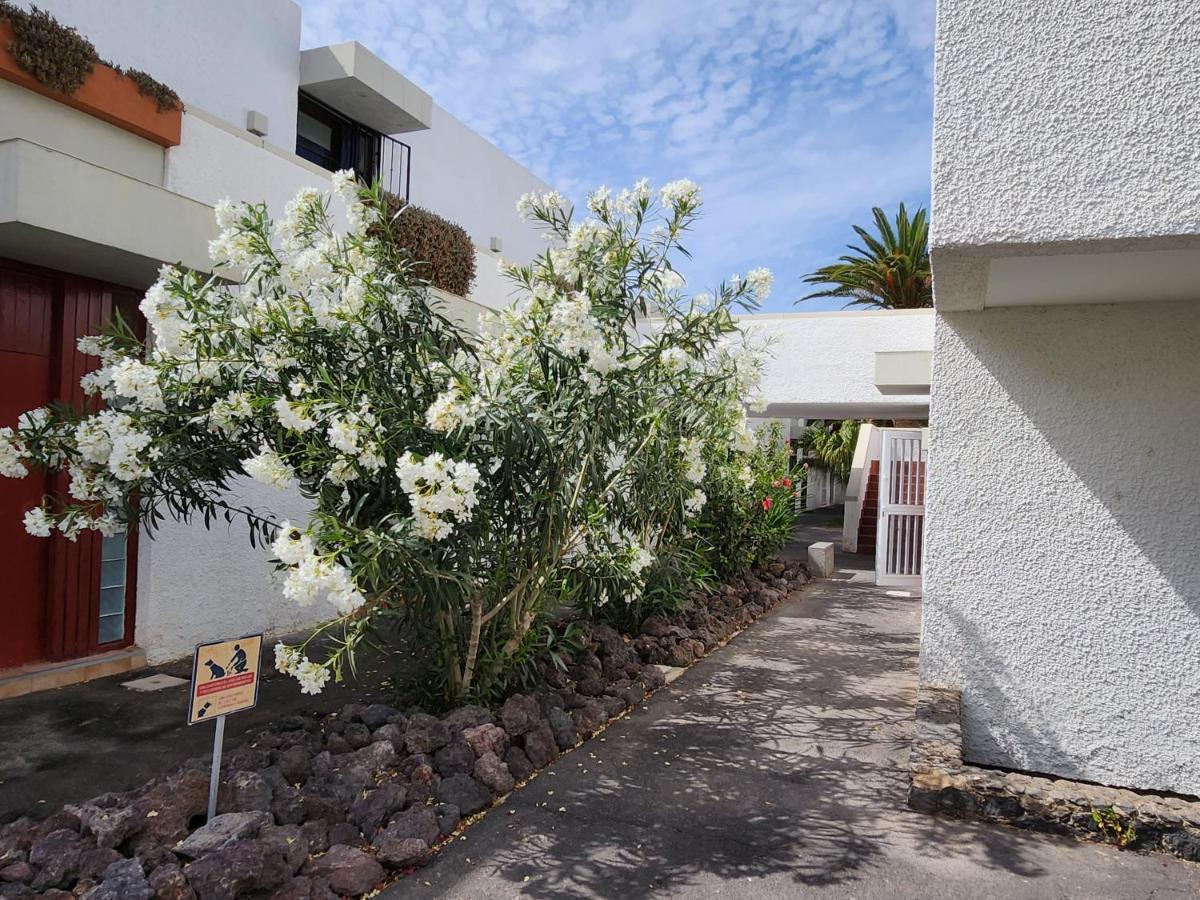 Casa De Mariposas Leilighet Costa Del Silencio Eksteriør bilde